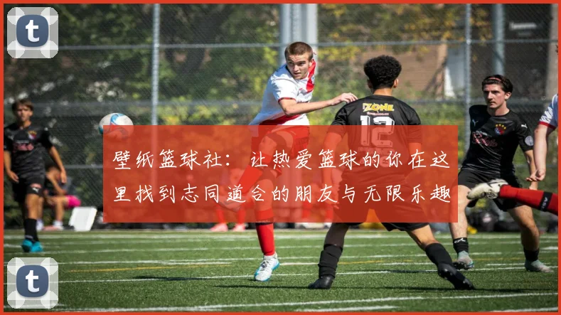 壁纸篮球社：让热爱篮球的你在这里找到志同道合的朋友与无限乐趣