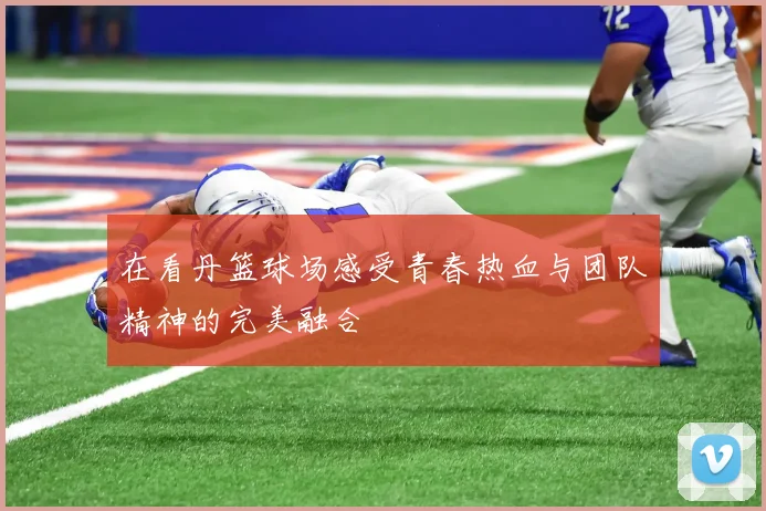 在看丹篮球场感受青春热血与团队精神的完美融合