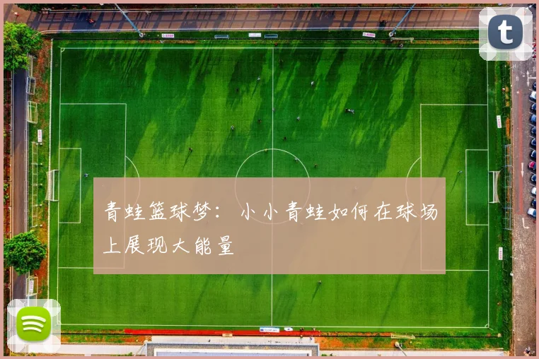 青蛙篮球梦：小小青蛙如何在球场上展现大能量