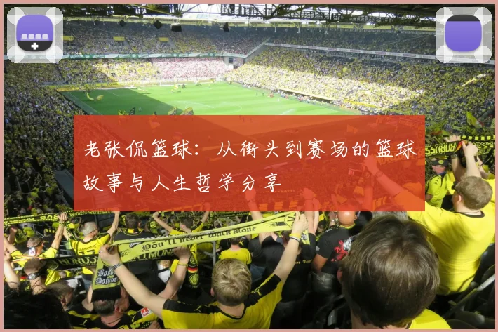 老张侃篮球：从街头到赛场的篮球故事与人生哲学分享