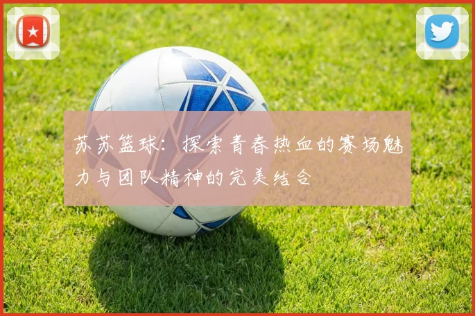 苏苏篮球：探索青春热血的赛场魅力与团队精神的完美结合