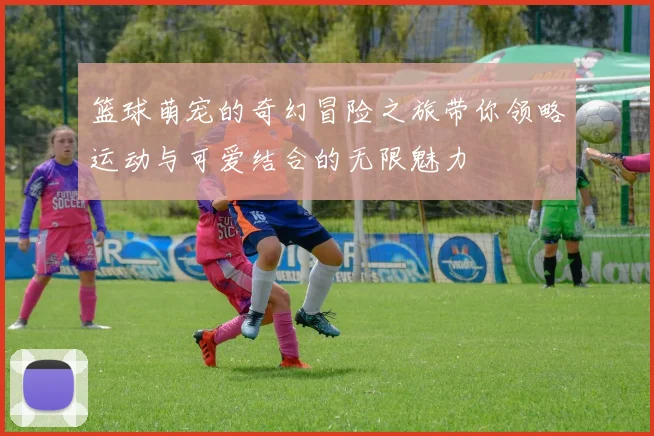 篮球萌宠的奇幻冒险之旅带你领略运动与可爱结合的无限魅力
